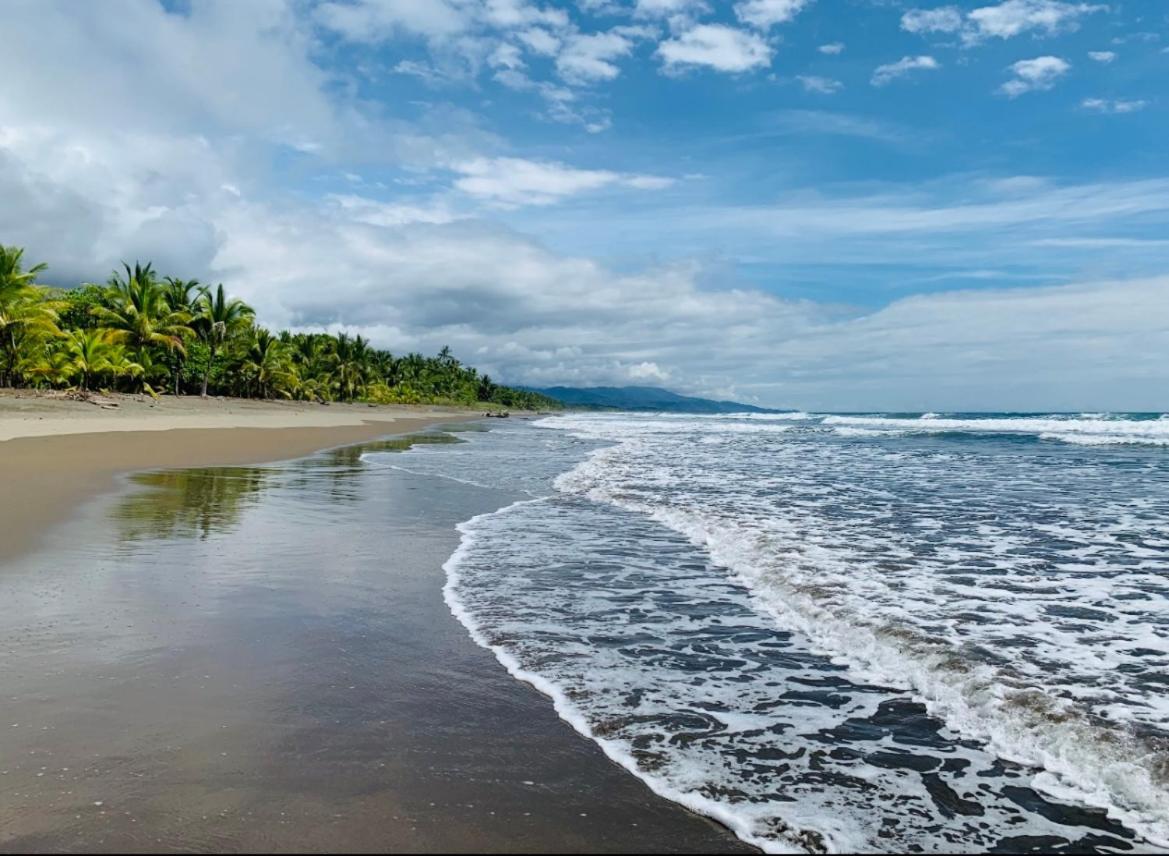 Cabana Tolle Vista Savegre Exteriér fotografie