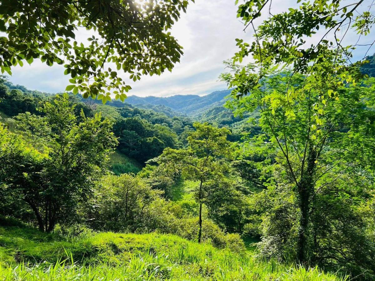 Cabana Tolle Vista Savegre Exteriér fotografie